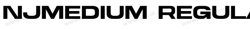 NJMedium Regular字体转换